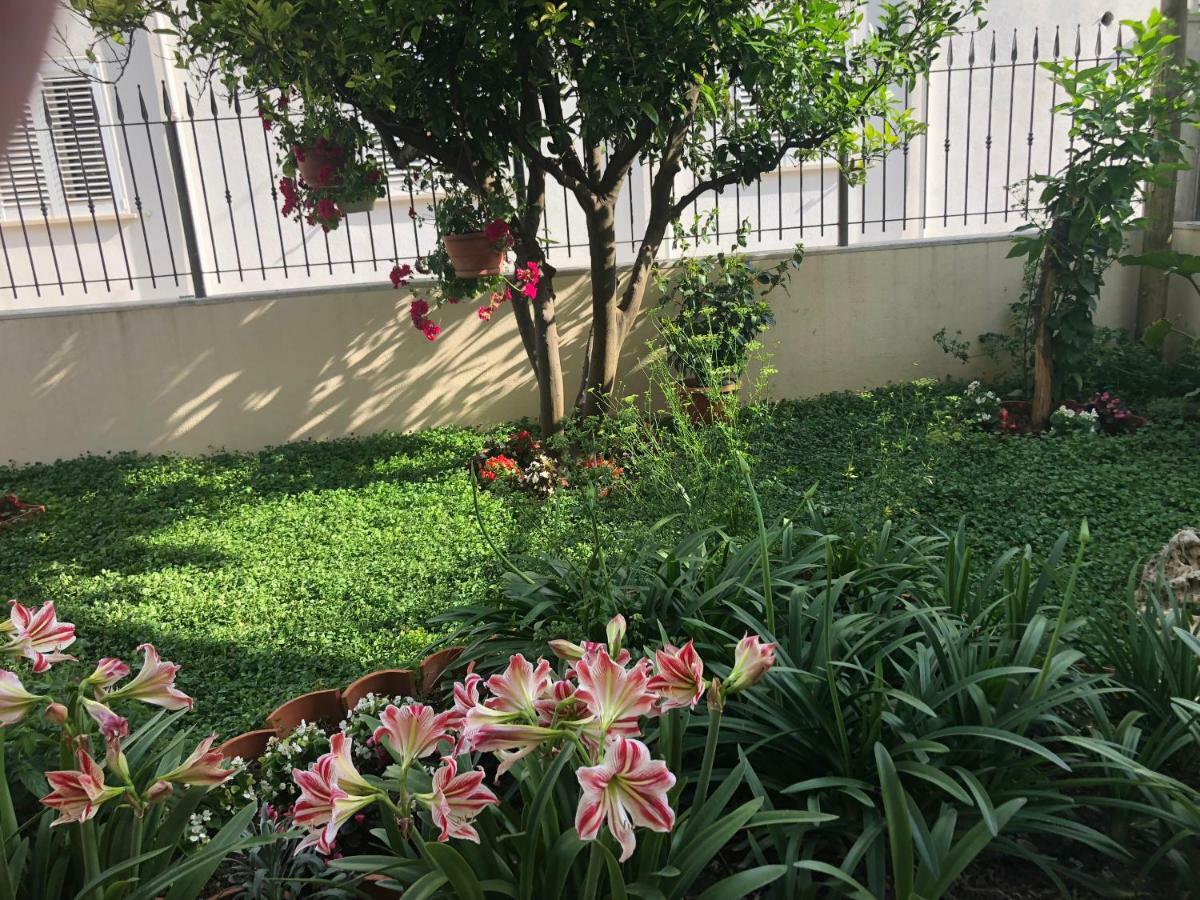 Apartman Lu Apartment Mokosica Luaran gambar